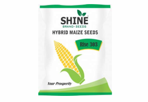 Hybrid Maize Seeds_Rise 303-4.png